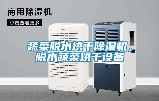 蔬菜脫水烘干除濕機(jī)，脫水蔬菜烘干設(shè)備
