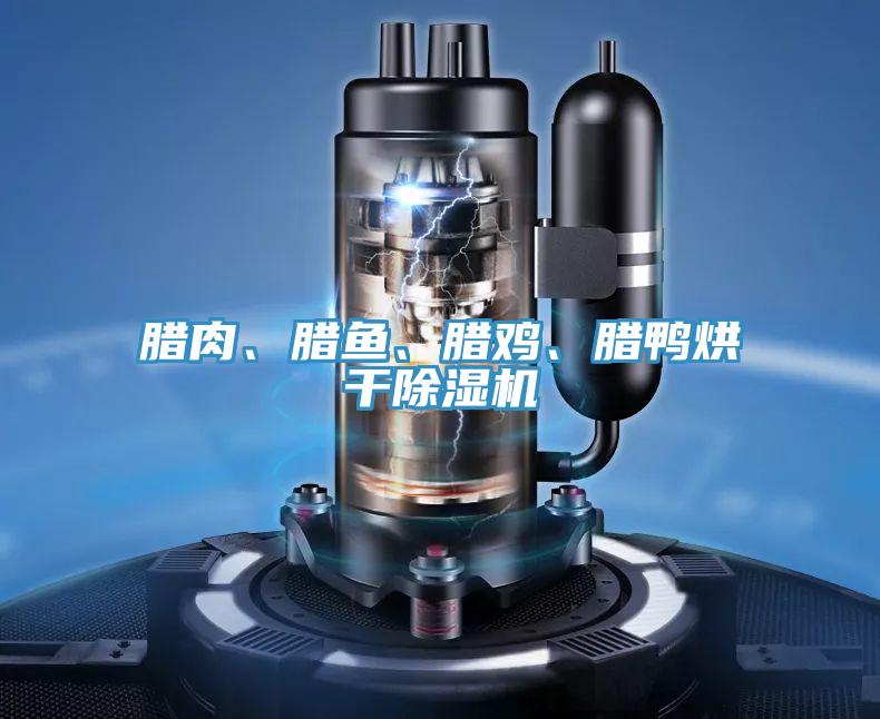 臘肉、臘魚(yú)、臘雞、臘鴨烘干除濕機(jī)