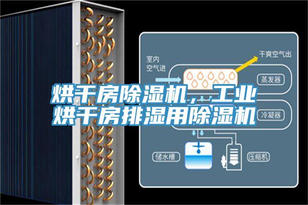 烘干房除濕機，工業(yè)烘干房排濕用除濕機