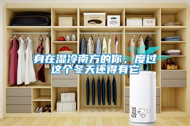 身在濕冷南方的你，度過(guò)這個(gè)冬天還得有它