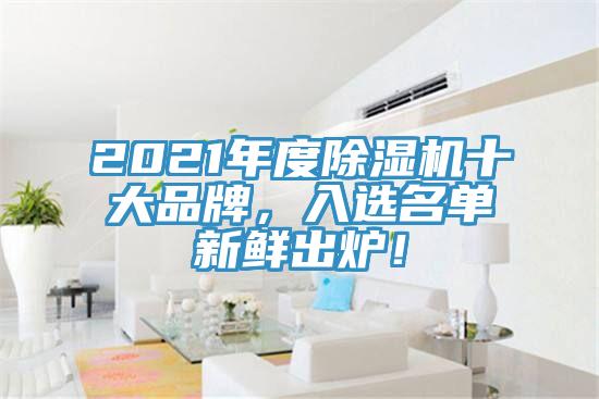 2021年度除濕機十大品牌，入選名單新鮮出爐！