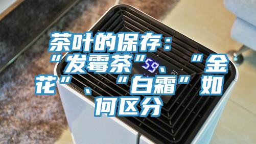 茶葉的保存：“發(fā)霉茶”、“金花”、“白霜”如何區(qū)分