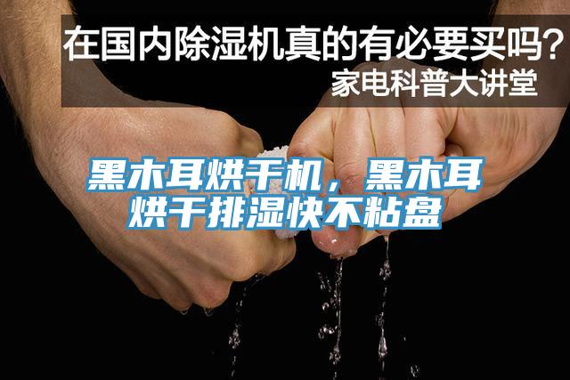 黑木耳烘干機，黑木耳烘干排濕快不粘盤