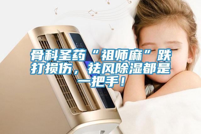 骨科圣藥“祖師麻”跌打損傷，祛風(fēng)除濕都是一把手！