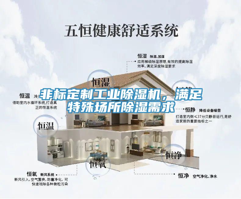 非標(biāo)定制工業(yè)除濕機，滿足特殊場所除濕需求