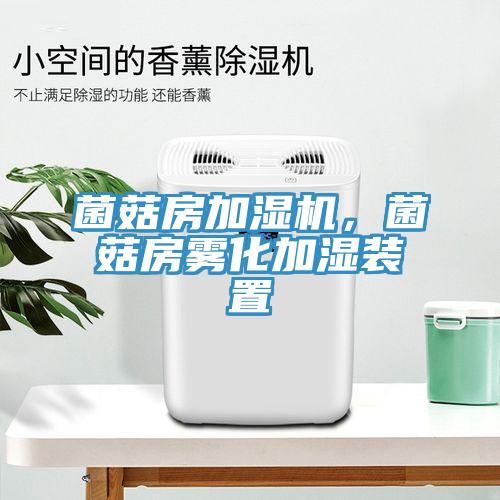菌菇房加濕機(jī)，菌菇房霧化加濕裝置