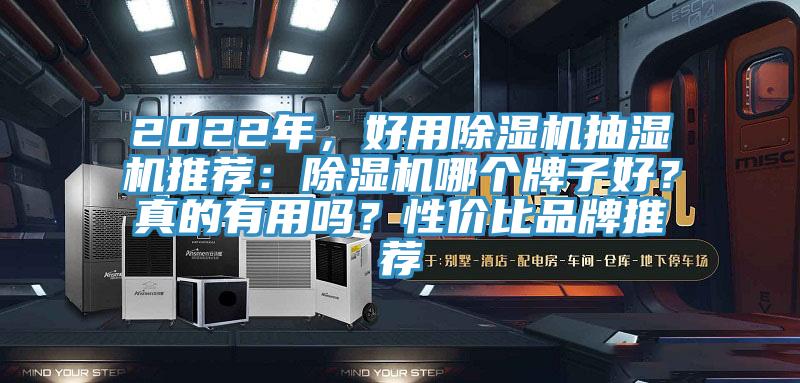 2022年，好用除濕機抽濕機推薦：除濕機哪個牌子好？真的有用嗎？性價比品牌推薦