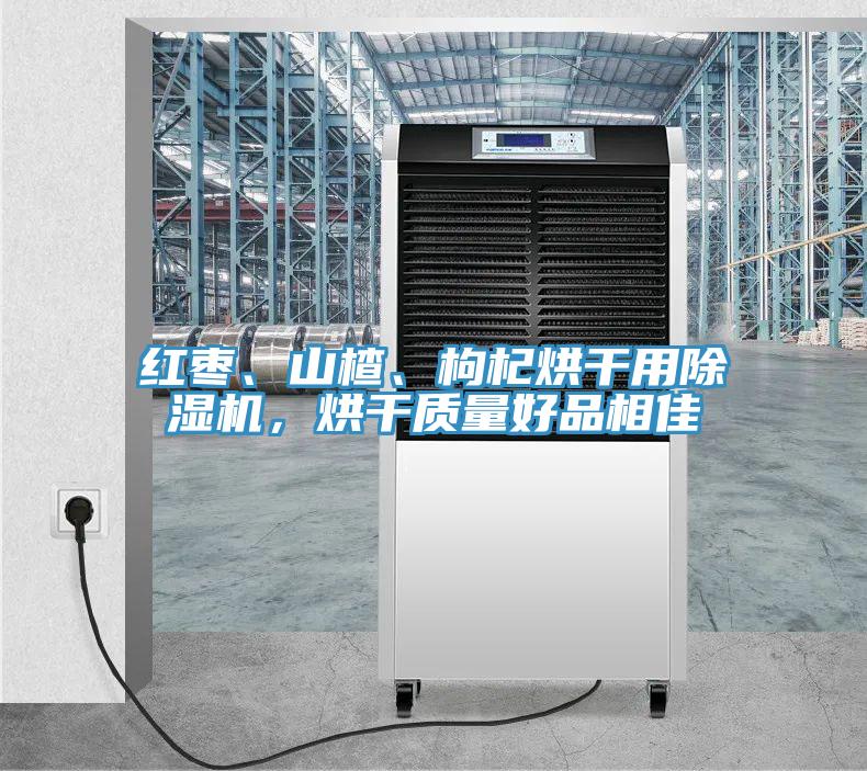 紅棗、山楂、枸杞烘干用除濕機，烘干質量好品相佳
