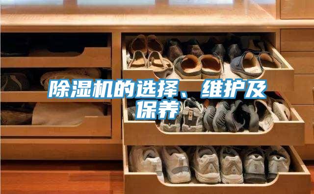 除濕機(jī)的選擇、維護(hù)及保養(yǎng)