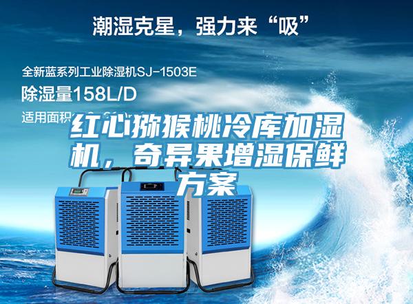 紅心獼猴桃冷庫加濕機(jī)，奇異果增濕保鮮方案