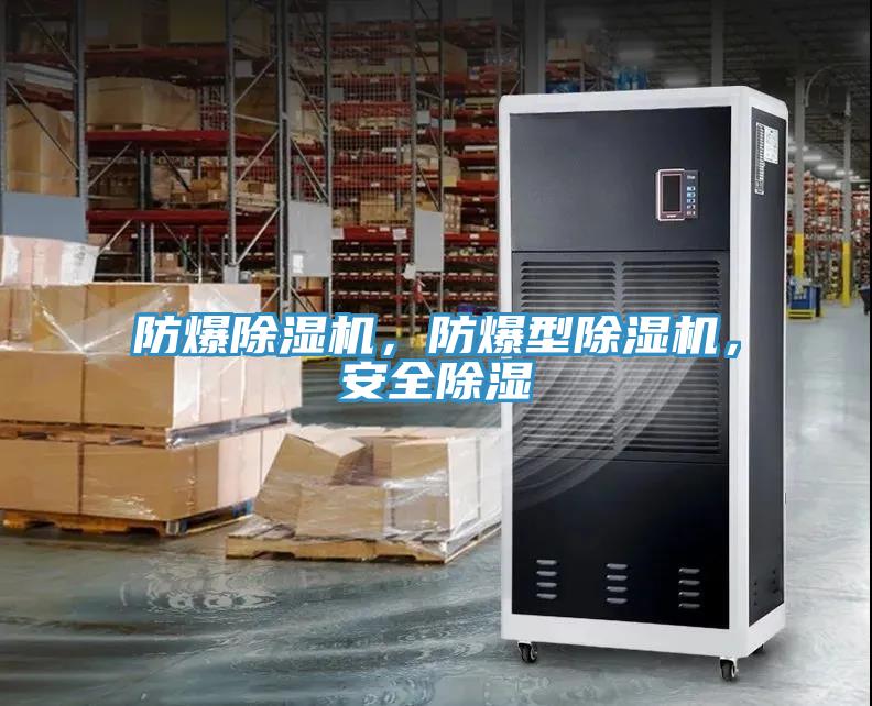 防爆除濕機(jī)，防爆型除濕機(jī)，安全除濕