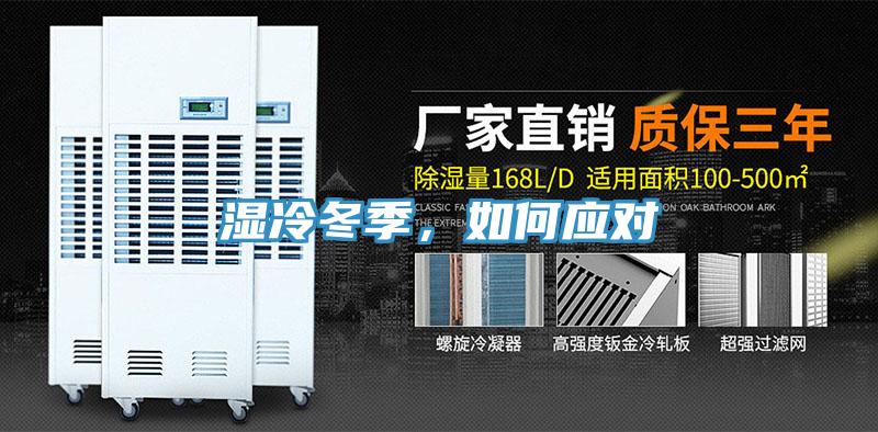濕冷冬季，如何應對