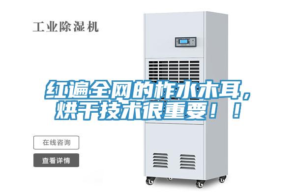 紅遍全網(wǎng)的柞水木耳，烘干技術很重要?。?></div>
								<div   id=