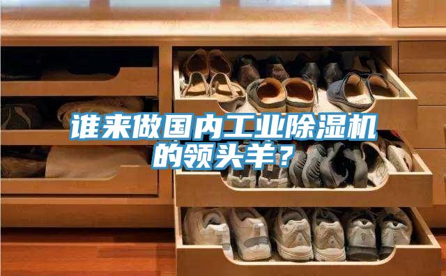 誰(shuí)來(lái)做國(guó)內(nèi)工業(yè)除濕機(jī)的領(lǐng)頭羊？
