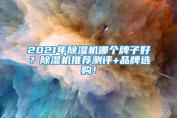 2021年除濕機哪個牌子好？除濕機推薦測評+品牌選購！