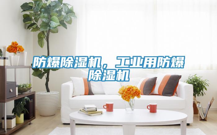 防爆除濕機(jī)，工業(yè)用防爆除濕機(jī)