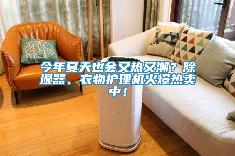 今年夏天也會又熱又潮？除濕器、衣物護理機火爆熱賣中！