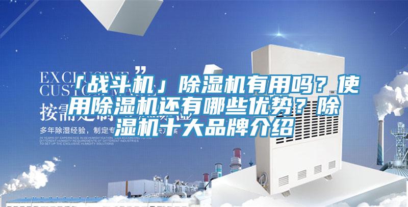 「戰(zhàn)斗機(jī)」除濕機(jī)有用嗎？使用除濕機(jī)還有哪些優(yōu)勢(shì)？除濕機(jī)十大品牌介紹