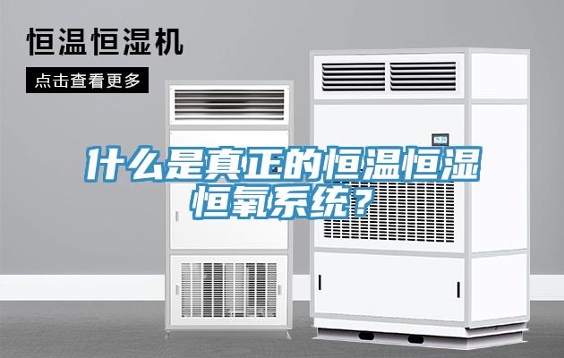 什么是真正的恒溫恒濕恒氧系統(tǒng)？