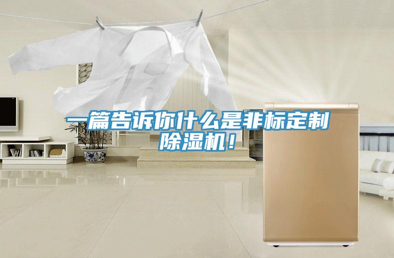 一篇告訴你什么是非標(biāo)定制除濕機(jī)！