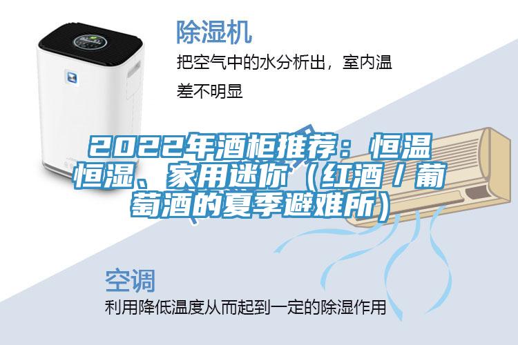 2022年酒柜推薦：恒溫恒濕、家用迷你（紅酒／葡萄酒的夏季避難所）
