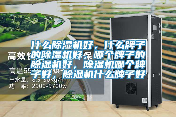 什么除濕機好，什么牌子的除濕機好，哪個牌子的除濕機好，除濕機哪個牌子好，除濕機什么牌子好