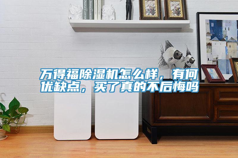 萬得福除濕機怎么樣，有何優(yōu)缺點，買了真的不后悔嗎