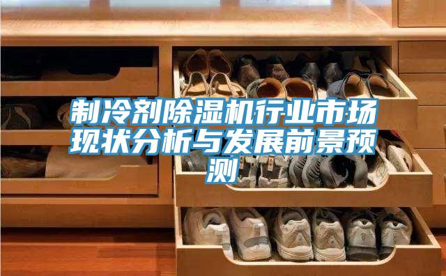 制冷劑除濕機(jī)行業(yè)市場現(xiàn)狀分析與發(fā)展前景預(yù)測