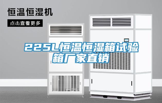 225L恒溫恒濕箱試驗(yàn)箱廠家直銷(xiāo)