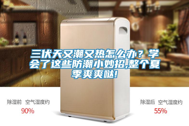 三伏天又潮又熱怎么辦？學(xué)會了這些防潮小妙招,整個夏季爽爽噠!