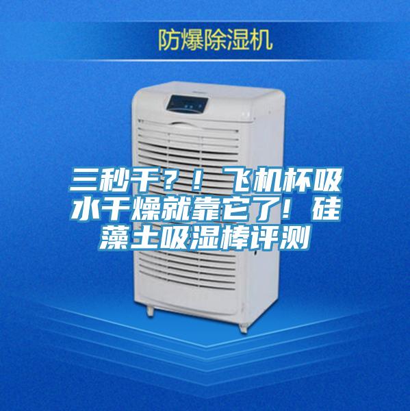 三秒干？! 飛機杯吸水干燥就靠它了! 硅藻土吸濕棒評測