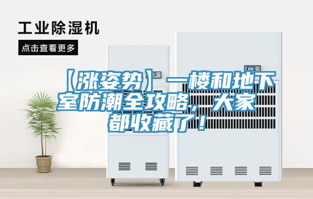 【漲姿勢(shì)】一樓和地下室防潮全攻略，大家都收藏了！