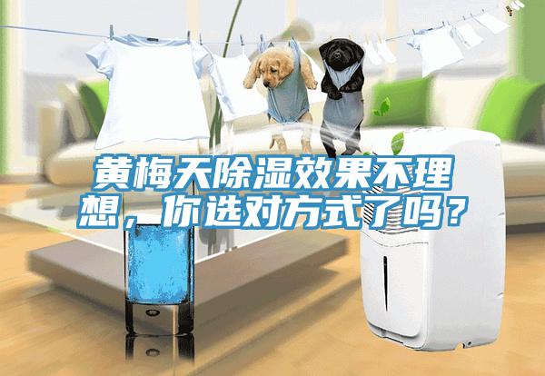 黃梅天除濕效果不理想，你選對方式了嗎？