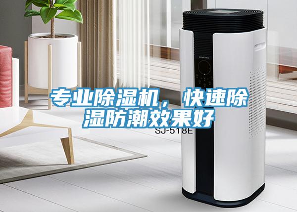 專業(yè)除濕機(jī)，快速除濕防潮效果好