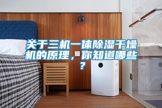 關(guān)于三機(jī)一體除濕干燥機(jī)的原理，你知道哪些？
