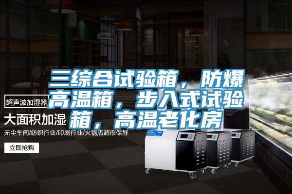 三綜合試驗箱，防爆高溫箱，步入式試驗箱，高溫老化房