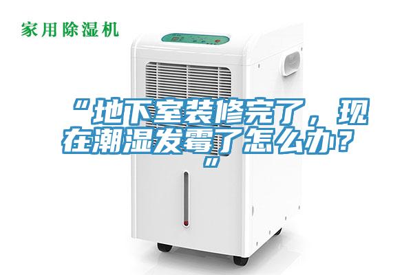“地下室裝修完了，現(xiàn)在潮濕發(fā)霉了怎么辦？”