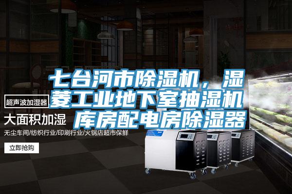七臺河市除濕機(jī)，濕菱工業(yè)地下室抽濕機(jī)  庫房配電房除濕器