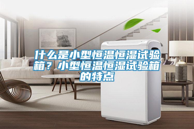 什么是小型恒溫恒濕試驗(yàn)箱？小型恒溫恒濕試驗(yàn)箱的特點(diǎn)