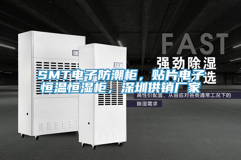 SMT電子防潮柜，貼片電子恒溫恒濕柜，深圳供銷廠家