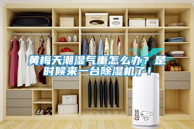 黃梅天潮濕氣重怎么辦？是時候來一臺除濕機了！