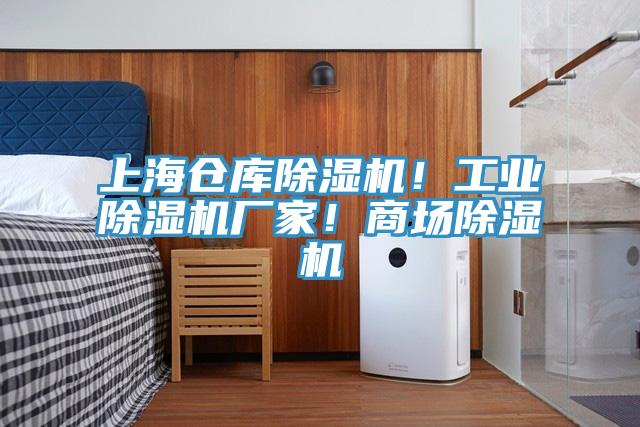 上海倉庫除濕機！工業(yè)除濕機廠家！商場除濕機