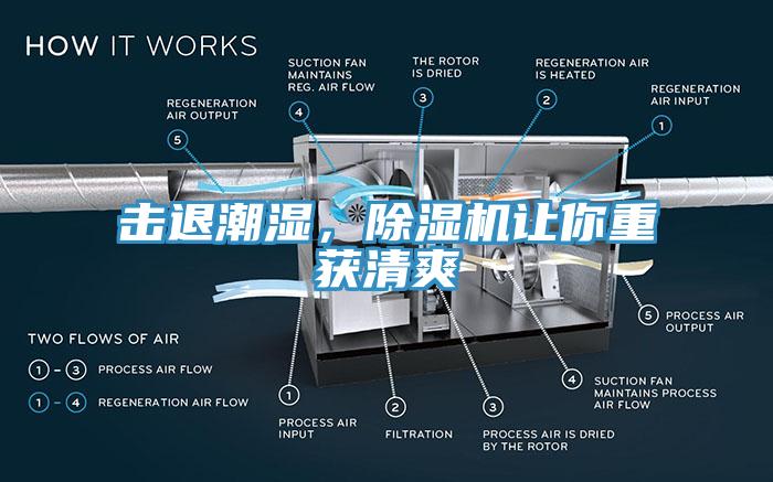 擊退潮濕，除濕機(jī)讓你重獲清爽