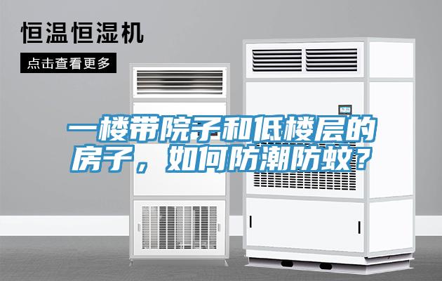 一樓帶院子和低樓層的房子，如何防潮防蚊？