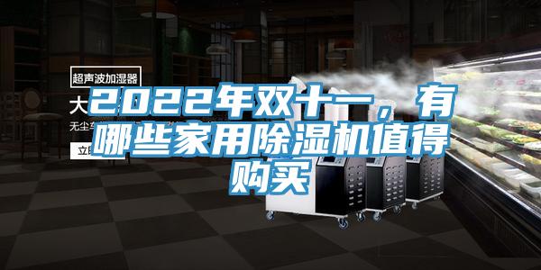 2022年雙十一，有哪些家用除濕機值得購買