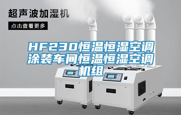 HF230恒溫恒濕空調(diào)涂裝車(chē)間恒溫恒濕空調(diào)機(jī)組