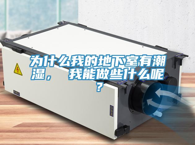 為什么我的地下室有潮濕， 我能做些什么呢？