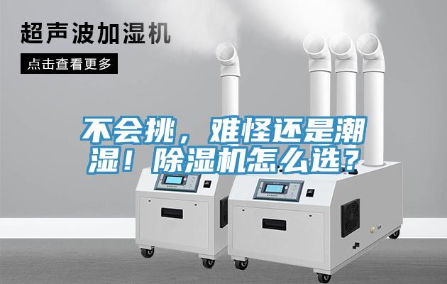 不會挑，難怪還是潮濕！除濕機怎么選？