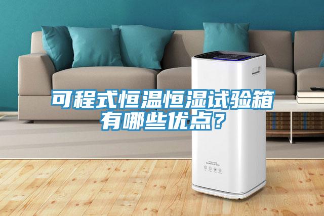 可程式恒溫恒濕試驗箱有哪些優(yōu)點？