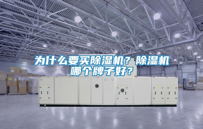 為什么要買(mǎi)除濕機(jī)？除濕機(jī)哪個(gè)牌子好？